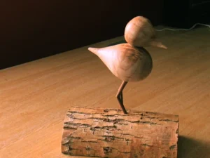 Bird 003